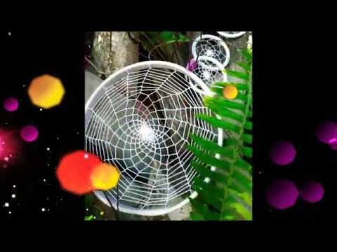 OFERTON GENTE//LLEVELO LLEVELO...