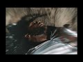 Y9N Nino Funeral Shotby Chrisshotya