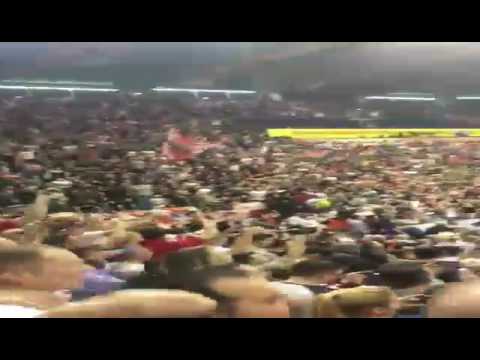 Montana 2003 at Crvena Zvezda - Anadolu Efes, 03.02.2017