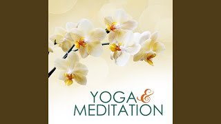 Luxurious Morning Dew