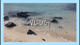 Vlog | 신나는 3박4일 제주도 여행기🏝
