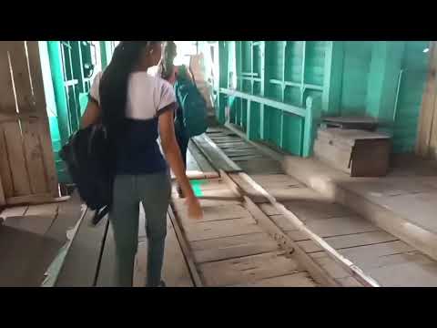 Andaman and Nicobar Islands Chatham mill  😊