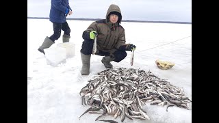 Хочу на рыбалку в море 2020
