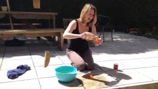 Rocket in the garden