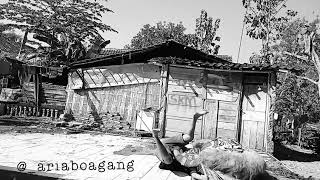 Download lagu Story wa reog elek yo ben peting tak uri uri mp3