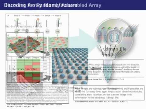 Image of Biotechnology Patent: DNA Microarrays