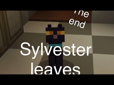 Talking kitty cat in Minecraft-69 Sylvester goes to court