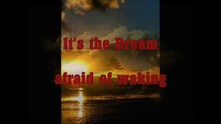 The Rose - Amanda McBroom - Bette Midler