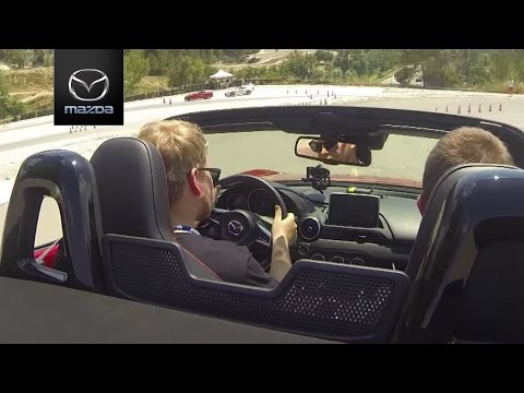 Das Rennen Deines Lebens – Europäisches Qualifying