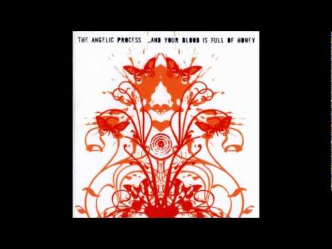 The Angelic Process - The Ruined Life of Someone Better