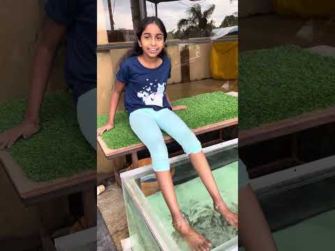 Fish spa - Riashri