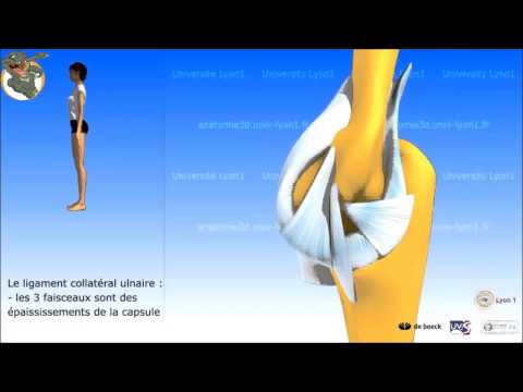 Ginnastica di video hip osteocondrosi Come si fa hip video di un intervento chirurgico