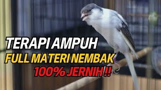 Download lagu PANCINGAN Kenari Agar ikut bunyi & gacor roll panjang, MASTERAN Ampuh kenari paud dan kenari macet mp3 Download lagu PANCINGAN Kenari Agar ikut bunyi & gacor roll panjang, MASTERAN Ampuh kenari paud dan kenari macet mp3