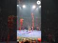 Tujhe Rab Ne Banaya Khatarnak Circus Hai Shortsfeed Shortvideo Trending Circus Youtubeshorts