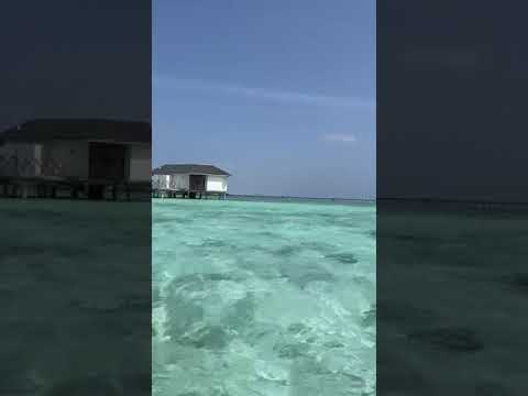 beauty of #maldives #love #pakistani #vlog