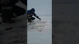 Рыбалка на озере спас которское озеро