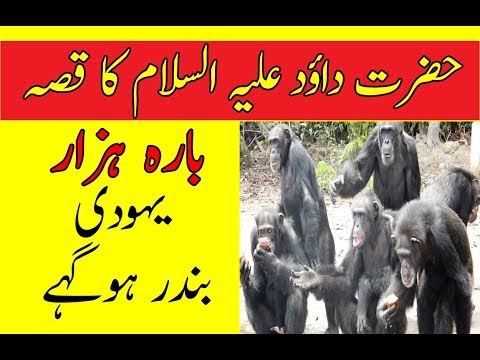 12000 Jews became Monkeys in Urdu | Hamari Dunya