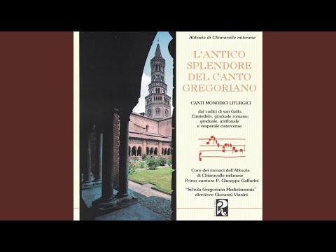 Ecce Advenit (Introito in Epiphania Domini)