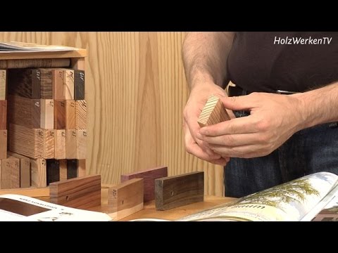 So werden Sie zum Holzkenner!