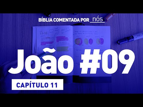 JOÃO COMENTADO POR _nós_ - dia #9 (Capítulo 11)