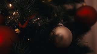 Noite Feliz (Trailer)