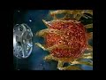 Disney Club Intro Ident RARE