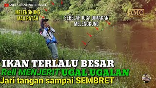 Download lagu PANIK..!!!Strek Ikan Besar Joran Melengkung Rell Menjerit Ugal Ugalan Sampai Gemeteran mp3