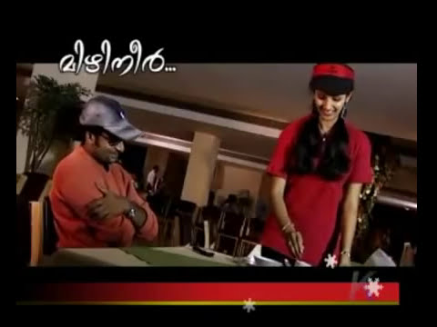 Vannathi Pullinudhoore - Mizhineer - Malayalam Album Song