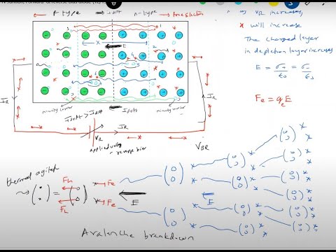 Forward & Reverse Bias