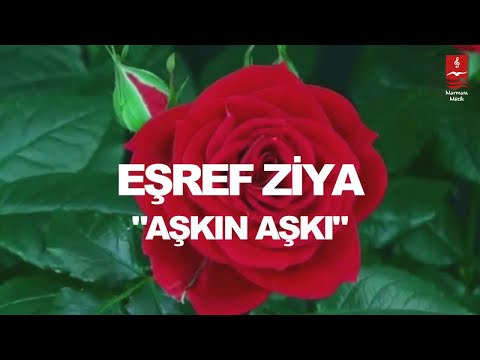EŞREF ZİYA  "AŞKIN AŞKI"