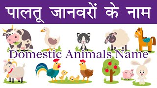 Domestic Animals Hin Eng Watch HD Mp4 Videos Download Free Domestic Animals Hin Eng Watch HD Mp4 Videos Download Free