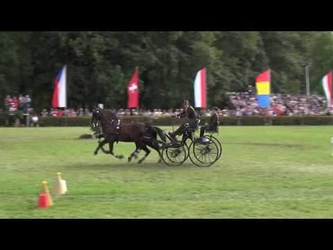 József DOBROVITZ Jr. (HUN) FEI CH-M-AH2, Drebkau (Germany), cones, 15.09.2019