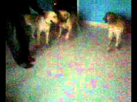 when Daisy met her mom and brothers