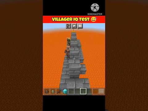 Insane Villager IQ Test! How Smart Are They? 😂