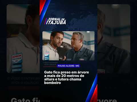 🐱🚒 GATO FICA PRESO EM ÁRVORE COM MAIS DE 20 METROS DE ALTURA E É RESGATADO PELOS BOMBEIROS #RESGATE