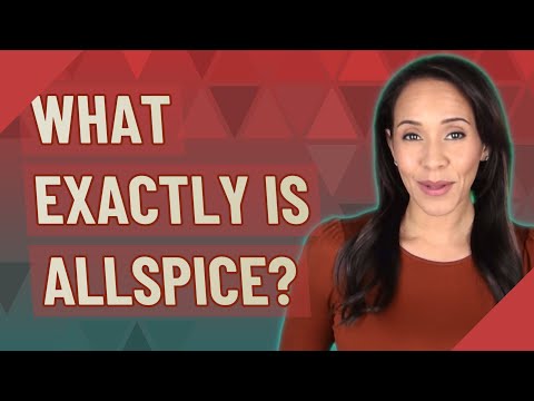 What exactly is allspice?