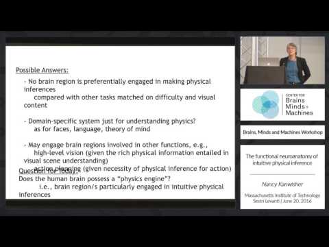 The Functional Neuroanatomy of Intuitive Physical Inference