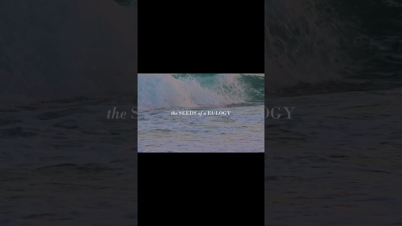 The Seeds of a Eulogy - 'Now in Production' Trailer #shortfilm