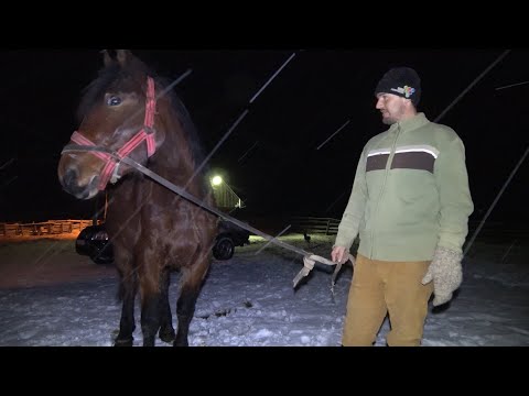 Calatorie prin muntii Apuseni impreuna cu Dorel - Beneficiarul | 2020 Part 2