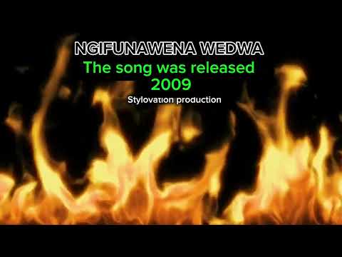 Dj style - Ngifunawena wedwa (original mix)