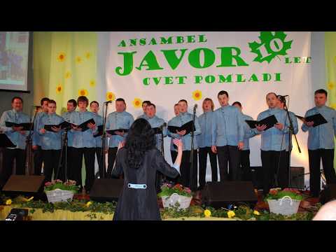 MPZ POBJE - POD JAVORJEM