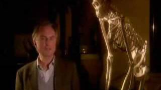 Richard Dawkins explains the meaning of life