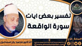 الدكتور – محمد بكر اسماعيل (تفسير بعض ايات  سورة الواقعة) ( ساحة الدح)(2023م)
