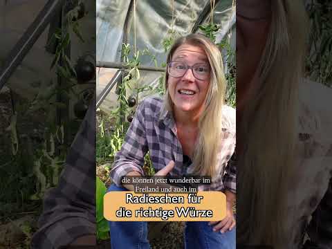 Gemüse-Aussaat im September 🌱 Spinat, Feldsalat & Radieschen – meine 3 Favoriten  #selbstversorgung