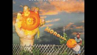Electric Orange - Span 5