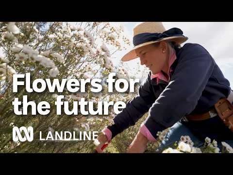 Are flowers the secret to this thriving farm? | Landline | ABC Australia