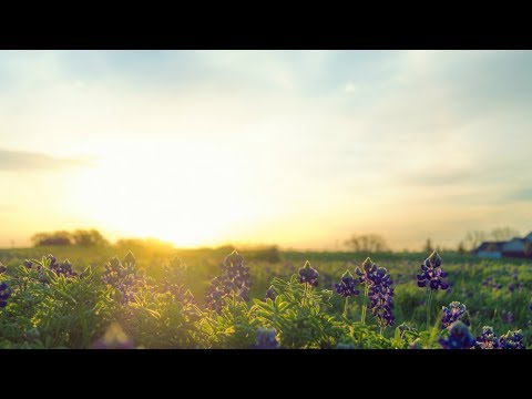 Jill Chestain - Come Together Tonight (Tate & Martini Remix)