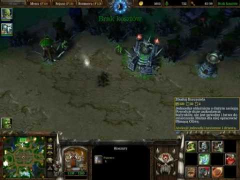 Warcraft 3 The Frozen Throne - 2v2 ( Orc + Night Elf vs Orc + Human  ) Tower Defence