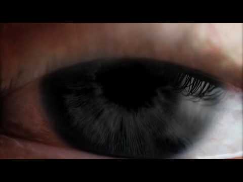 Official Trailer - Why Walk When You Can Fly? The Movie