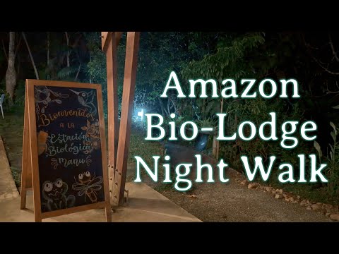 Manu Biological Research Station at Night